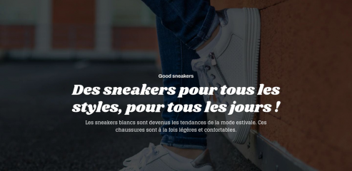 https://www.sneakersnets.fr